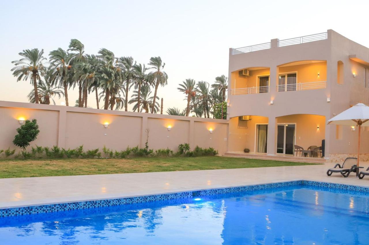 Royal Nile Villa - Pool View Apartment 1 Luxor Exterior photo